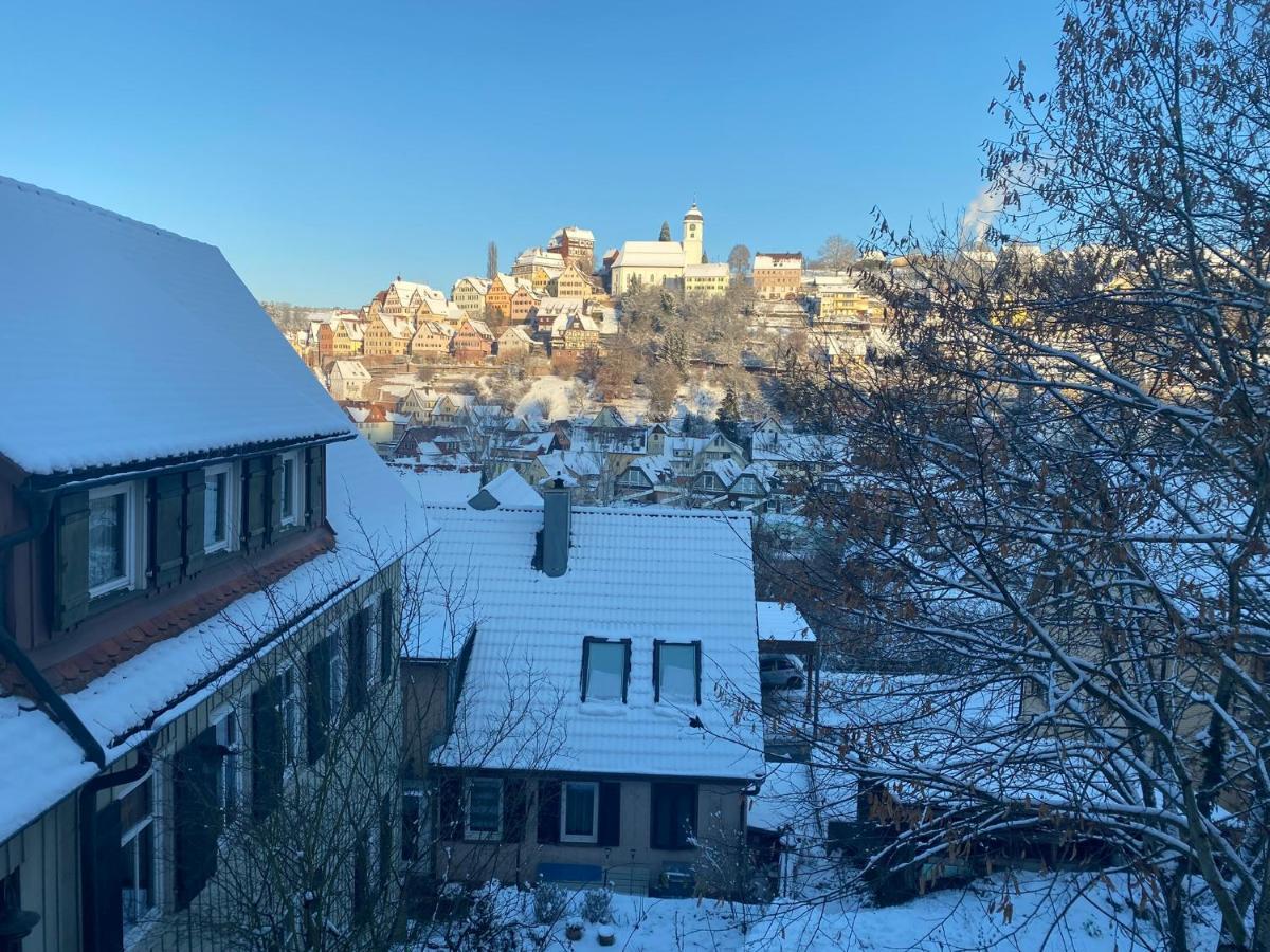 Retro Ferienwohnung Mit Schlossblick Im Nordschwarzwald التينستيغ المظهر الخارجي الصورة