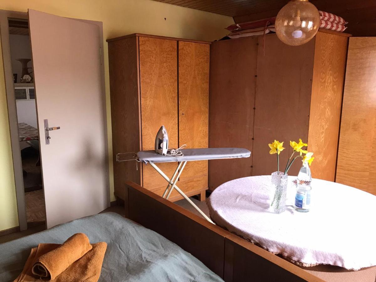 Retro Ferienwohnung Mit Schlossblick Im Nordschwarzwald التينستيغ المظهر الخارجي الصورة