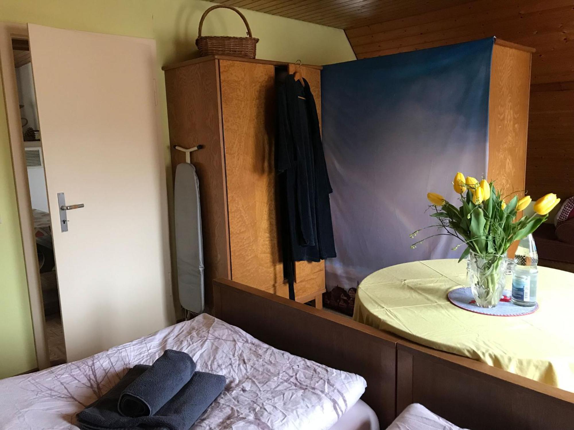 Retro Ferienwohnung Mit Schlossblick Im Nordschwarzwald التينستيغ المظهر الخارجي الصورة